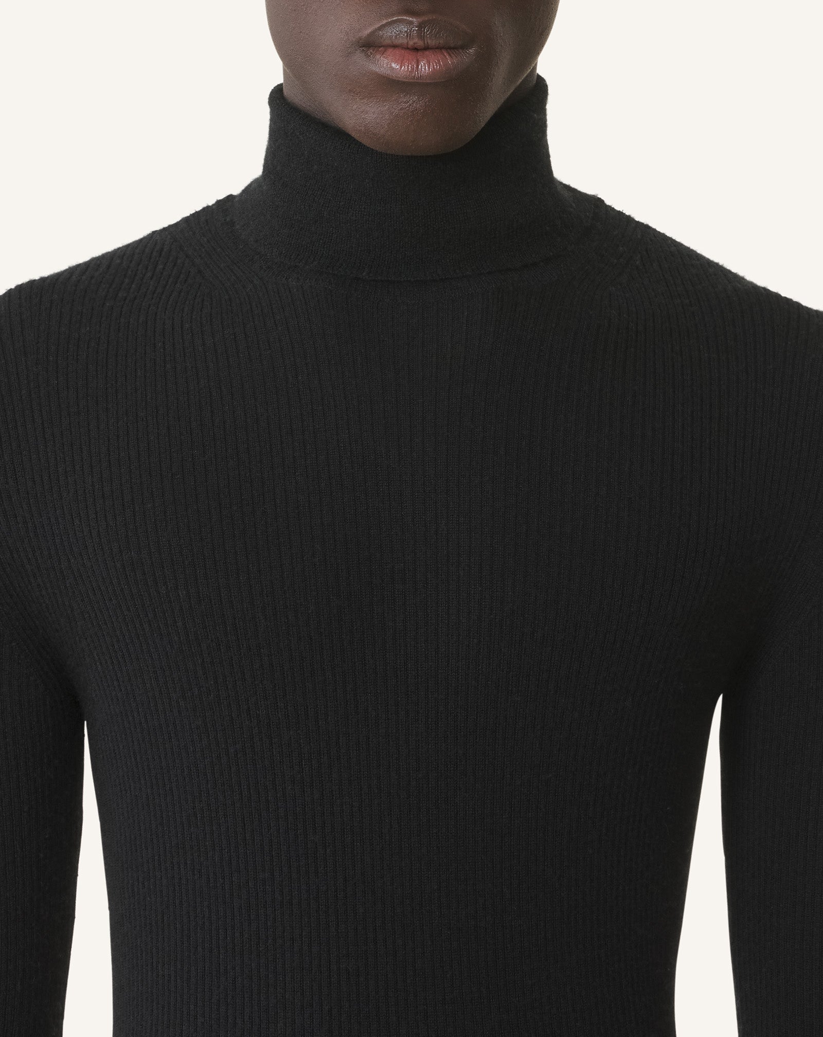 TURTLENECK SWEATER IN MERINO WOOL AND SILK - Image 5