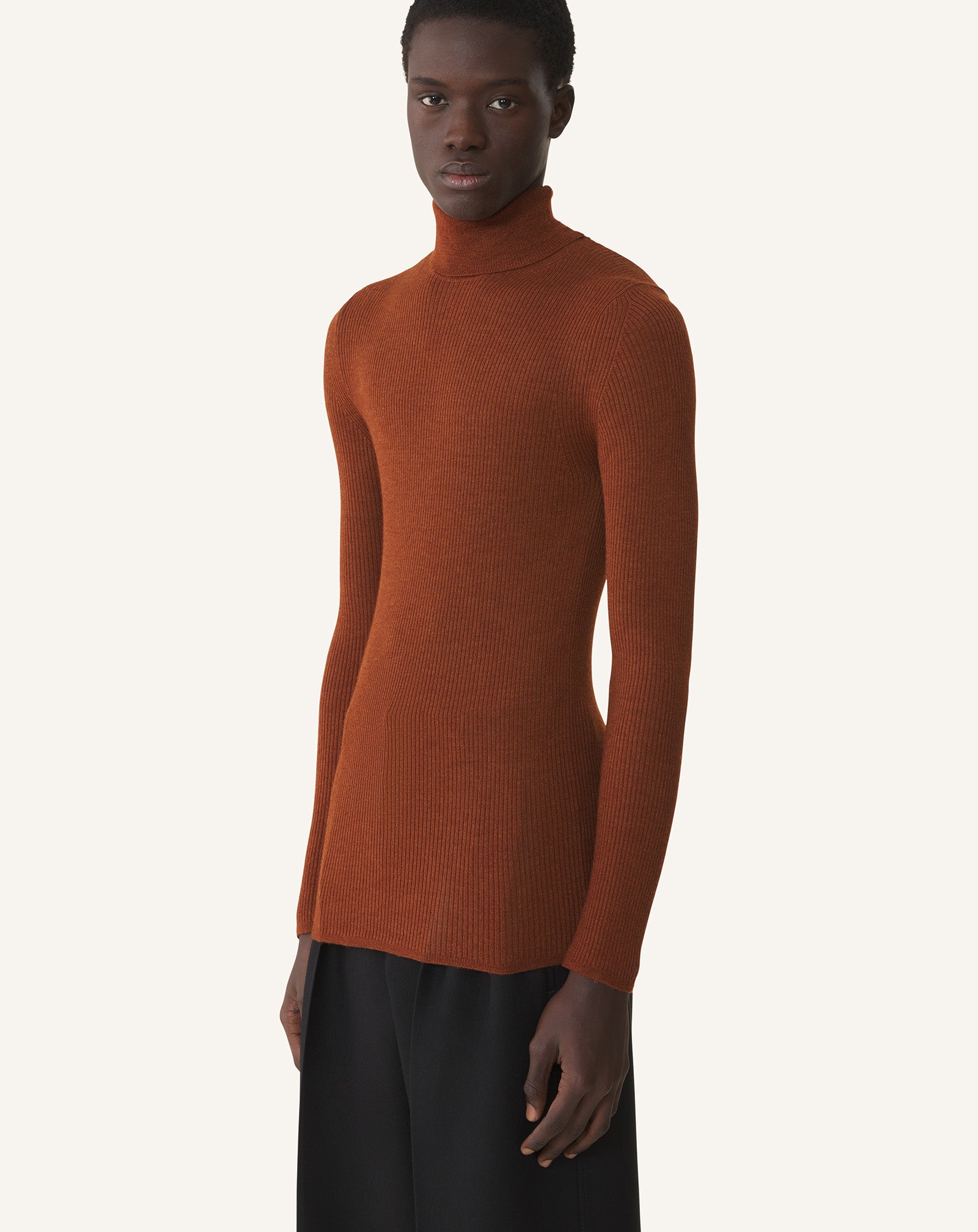 TURTLENECK SWEATER IN MERINO WOOL AND SILK - Image 3