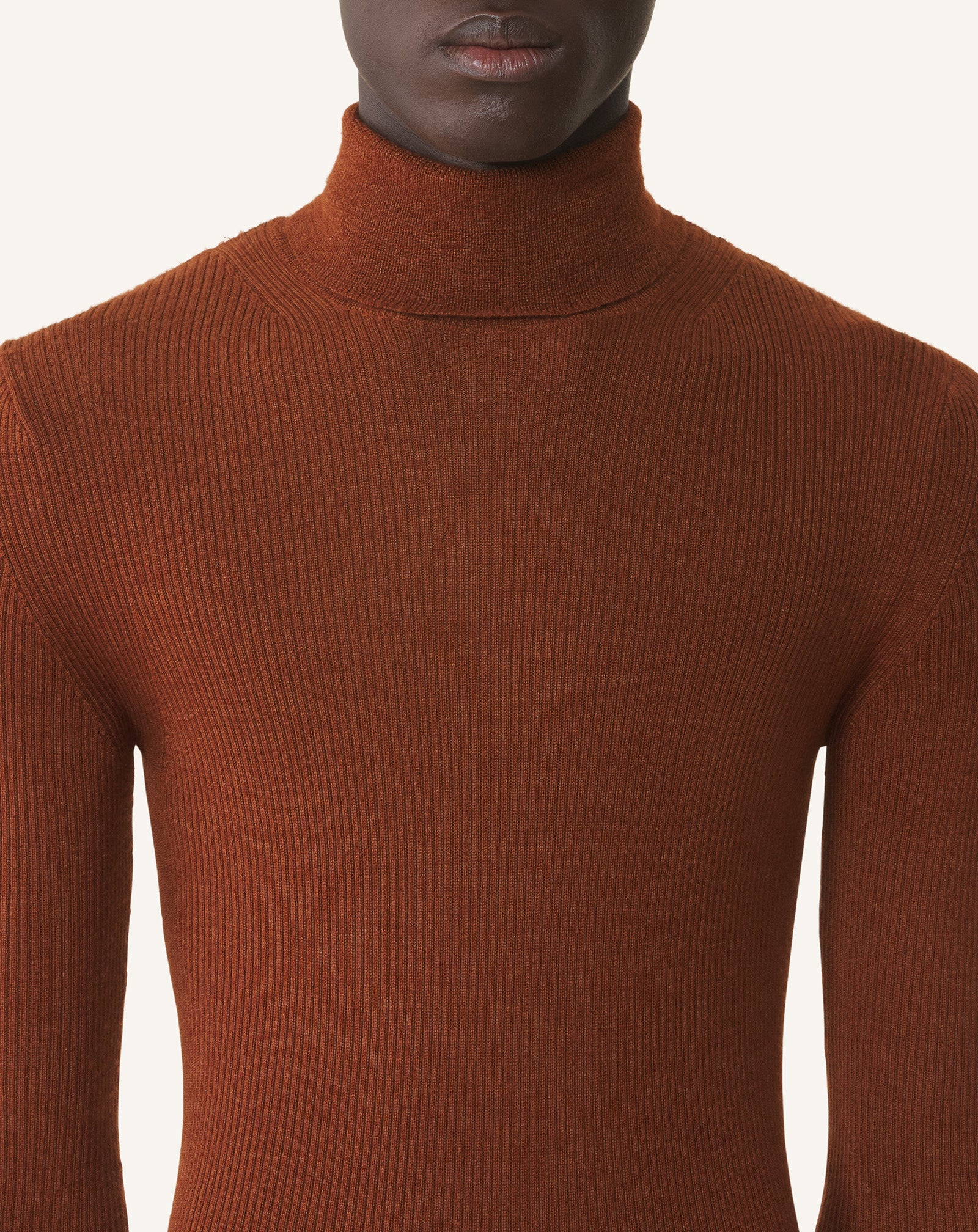 TURTLENECK SWEATER IN MERINO WOOL AND SILK - Image 5